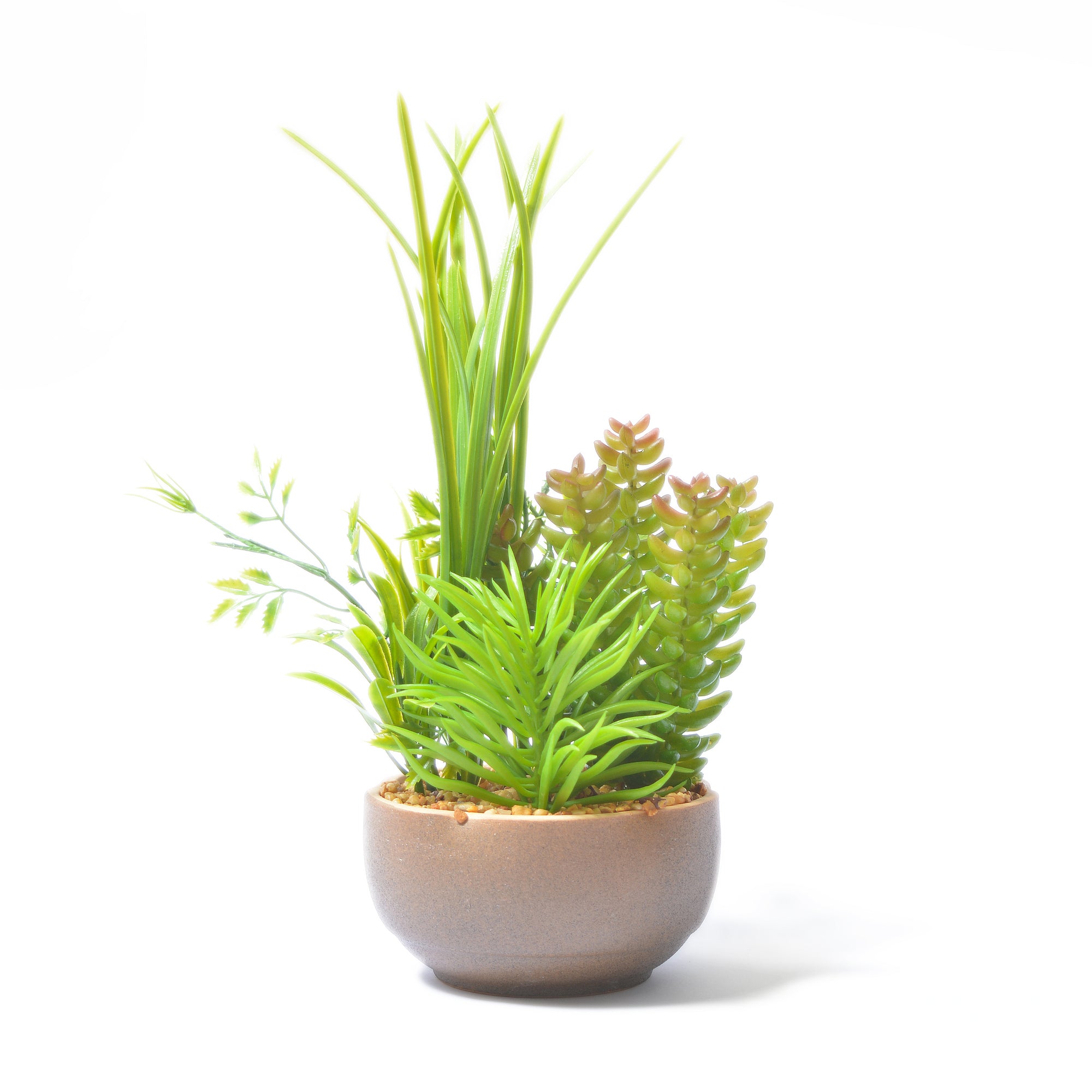 Aloe-Vera Pot Planter