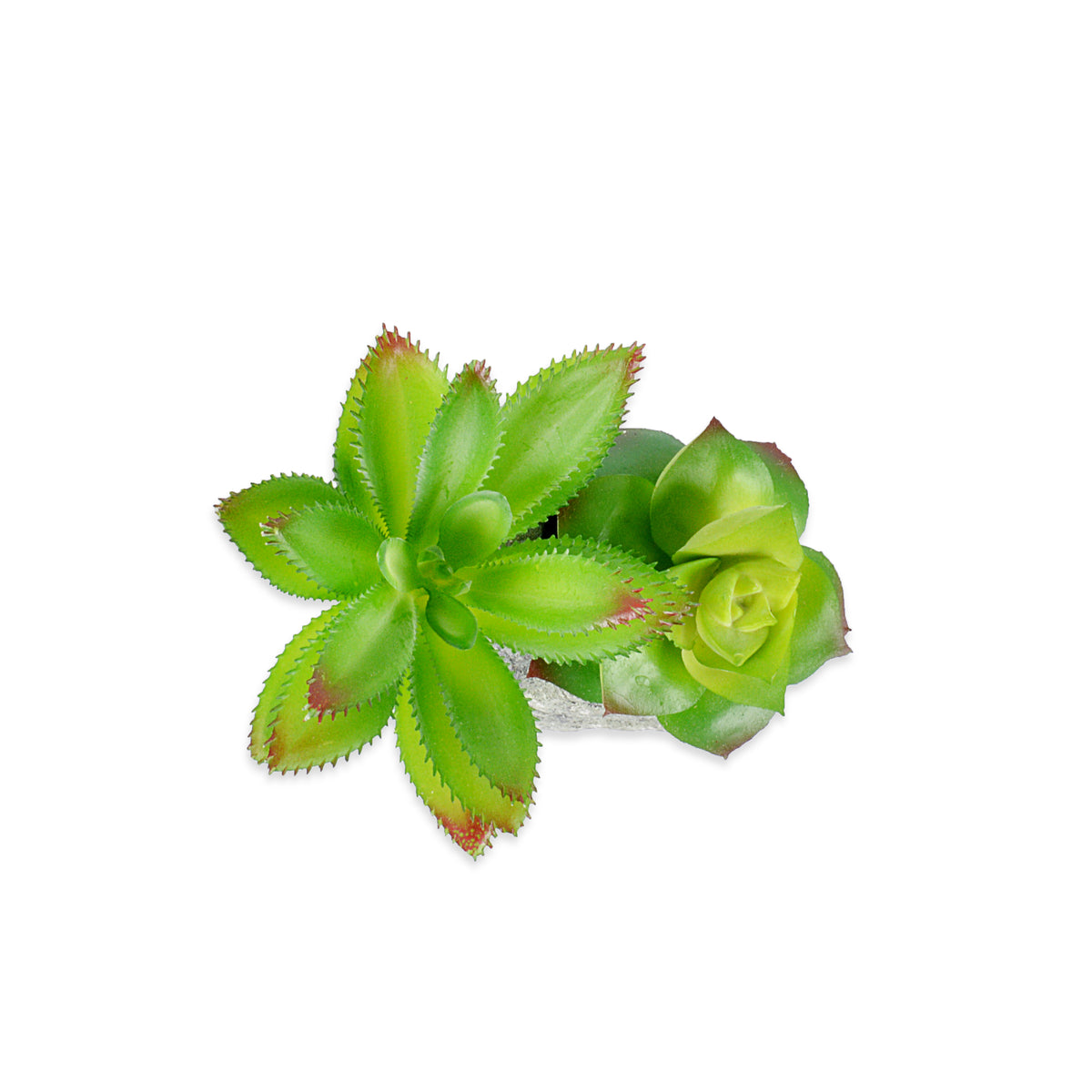 Decorative Pot Two planter with Ceramic Finish