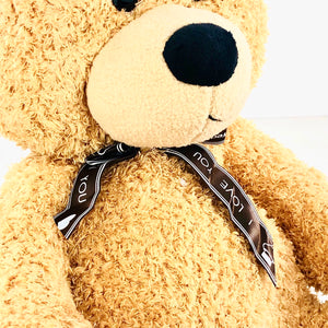 Lite Brown Fluffy Teddy Bear