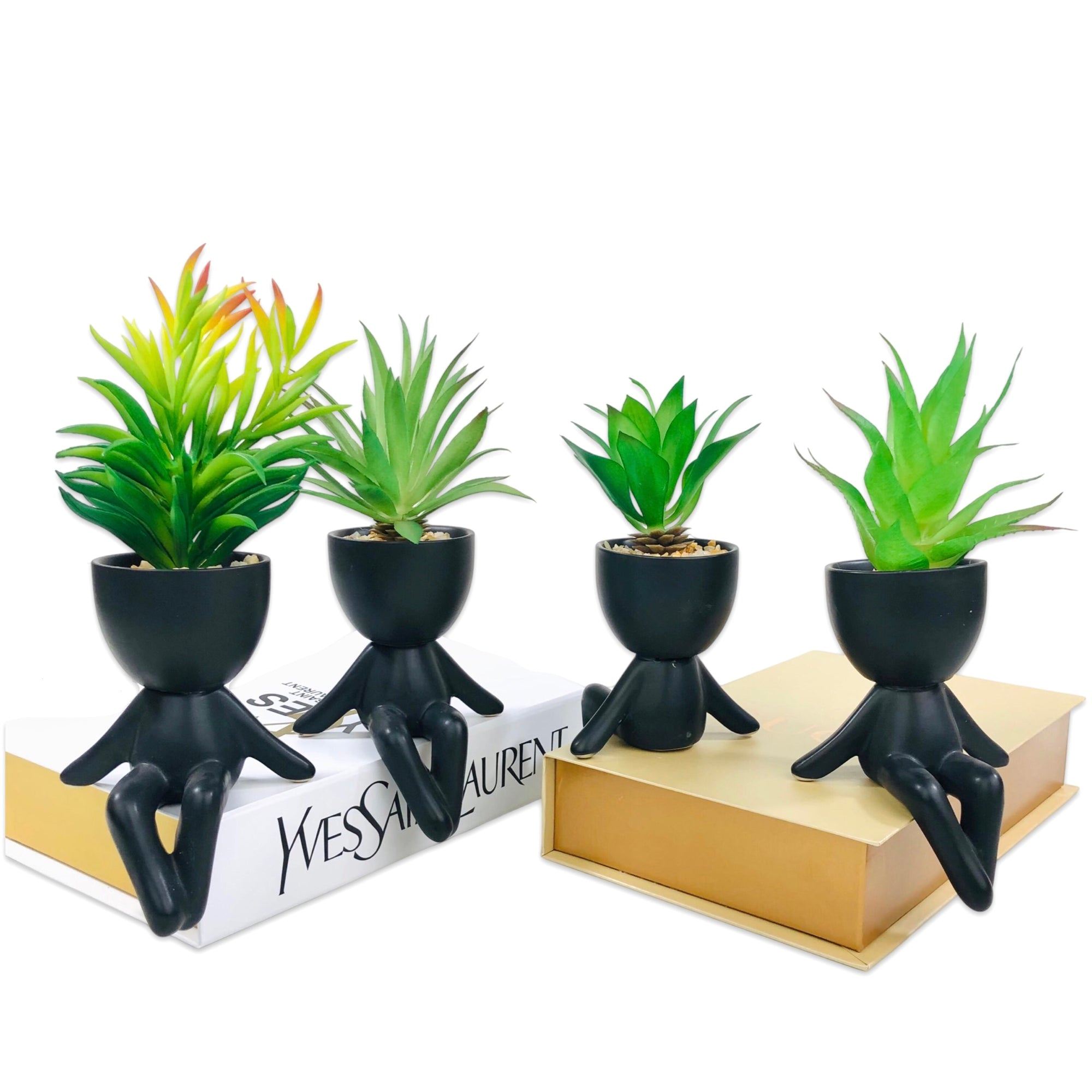 Chilling on Wall Pot Planter (Black)