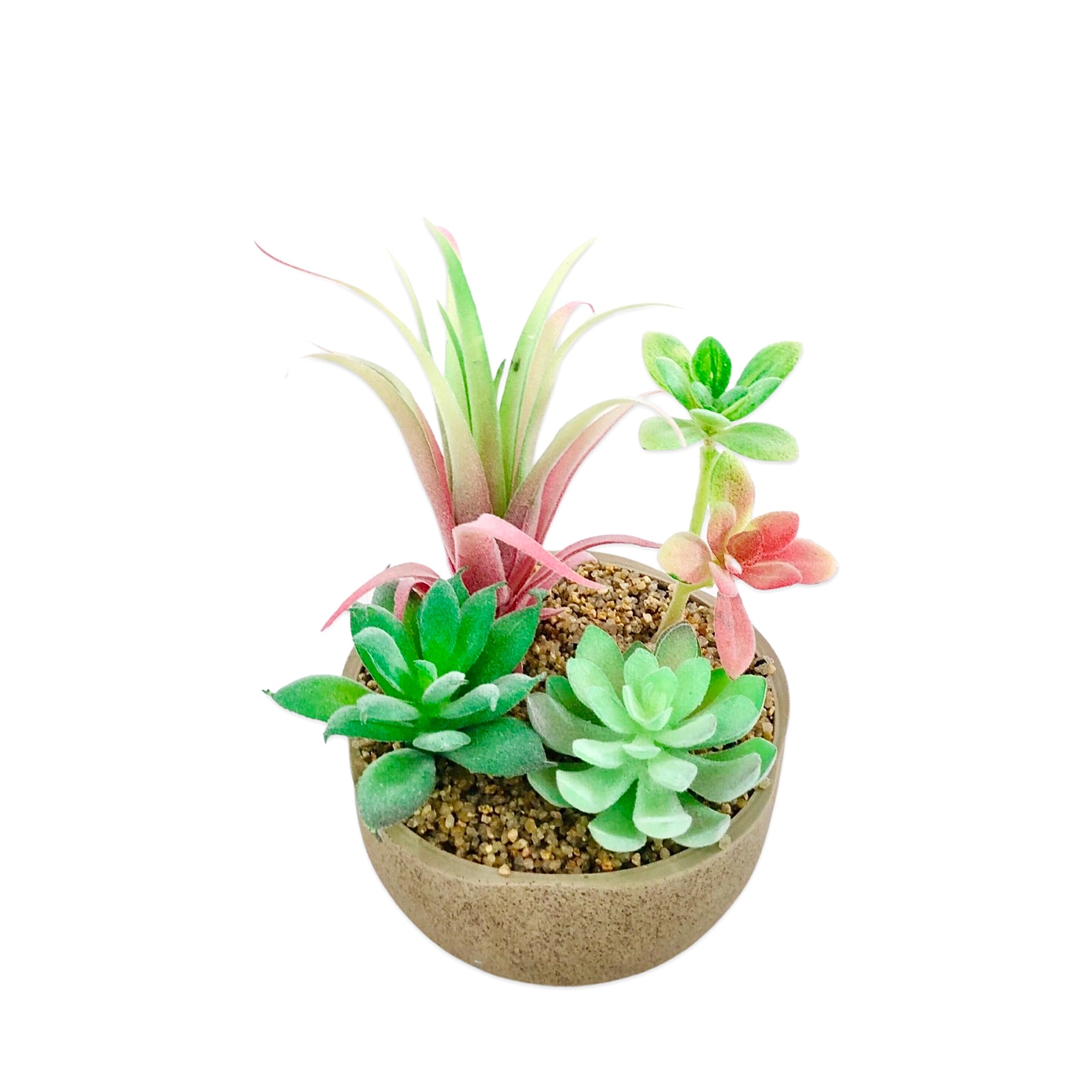 Decorative  Pot Planter