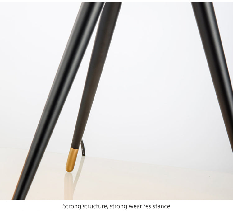 Contemporary Tripod Floor/Table Lamp