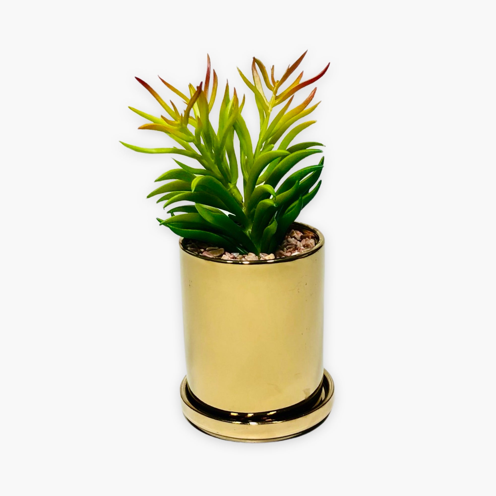 Decorative Planter With Golden Pot & Coaster