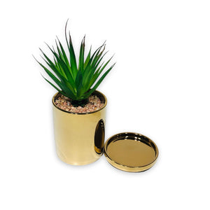 Decorative Planter With Golden Pot & Coaster
