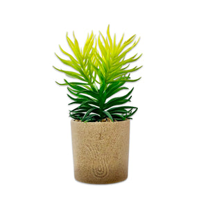 Decorative Green Planter with Pot