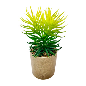 Decorative Green Planter with Pot
