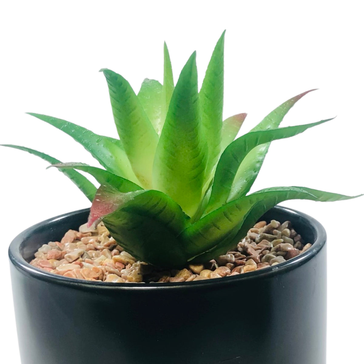 Black And White Cylindrical  Pot Planter with Golden Stand