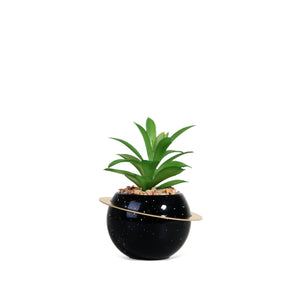 Aloe-Vera Plant with Black Ring Pot