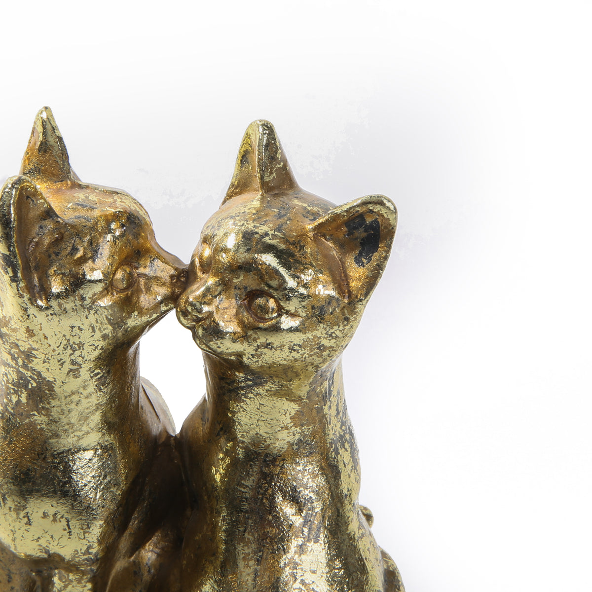 Sphynx Golden Cats
