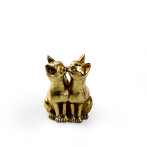 Sphynx Golden Cats