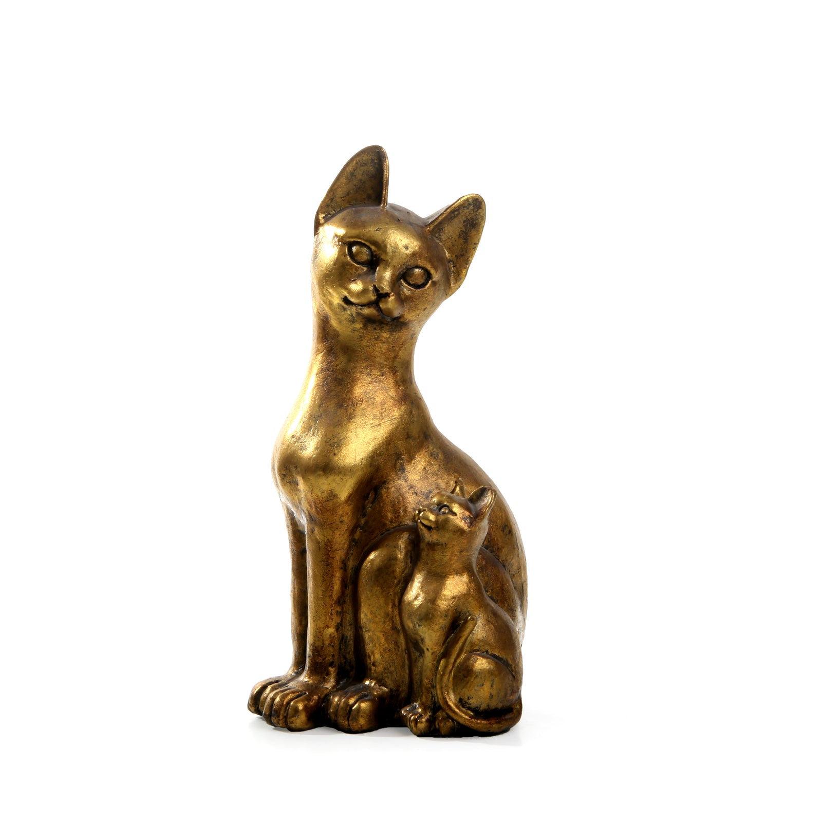 Sphynx Golden Cat-1