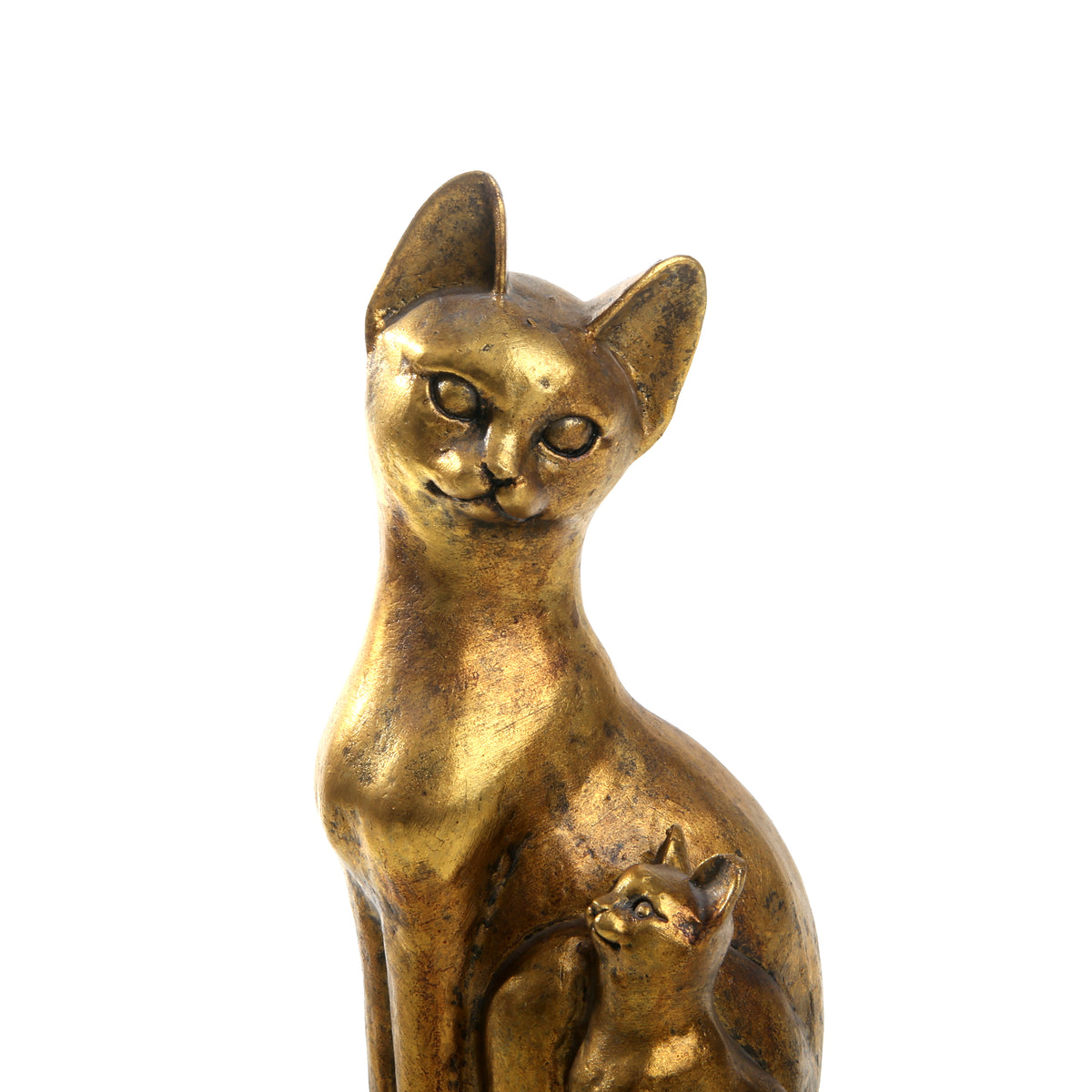 Sphynx Golden Cat-1