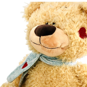 Fluffy Teddy Bear Red Heart