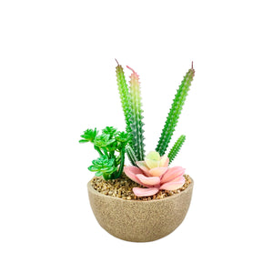 Pink Cactus Pot Planter