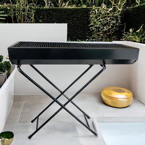 Foldable Barbecue Charcoal & Gas Grill