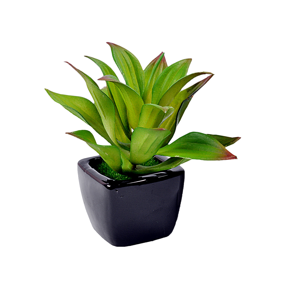 Small Ceramic Decorative Planter (set of 2)