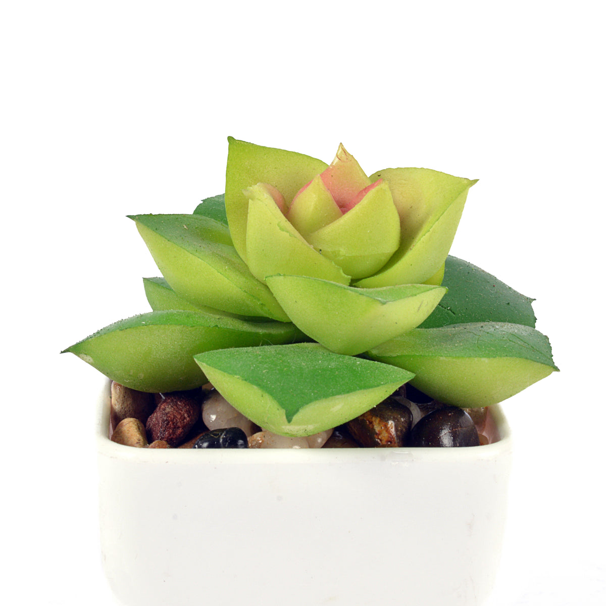 Multi Decorative Small Pot Planter(Set Of 2)