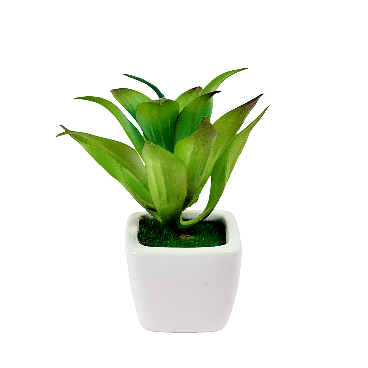 Small Ceramic Decorative Planter (set of 2)