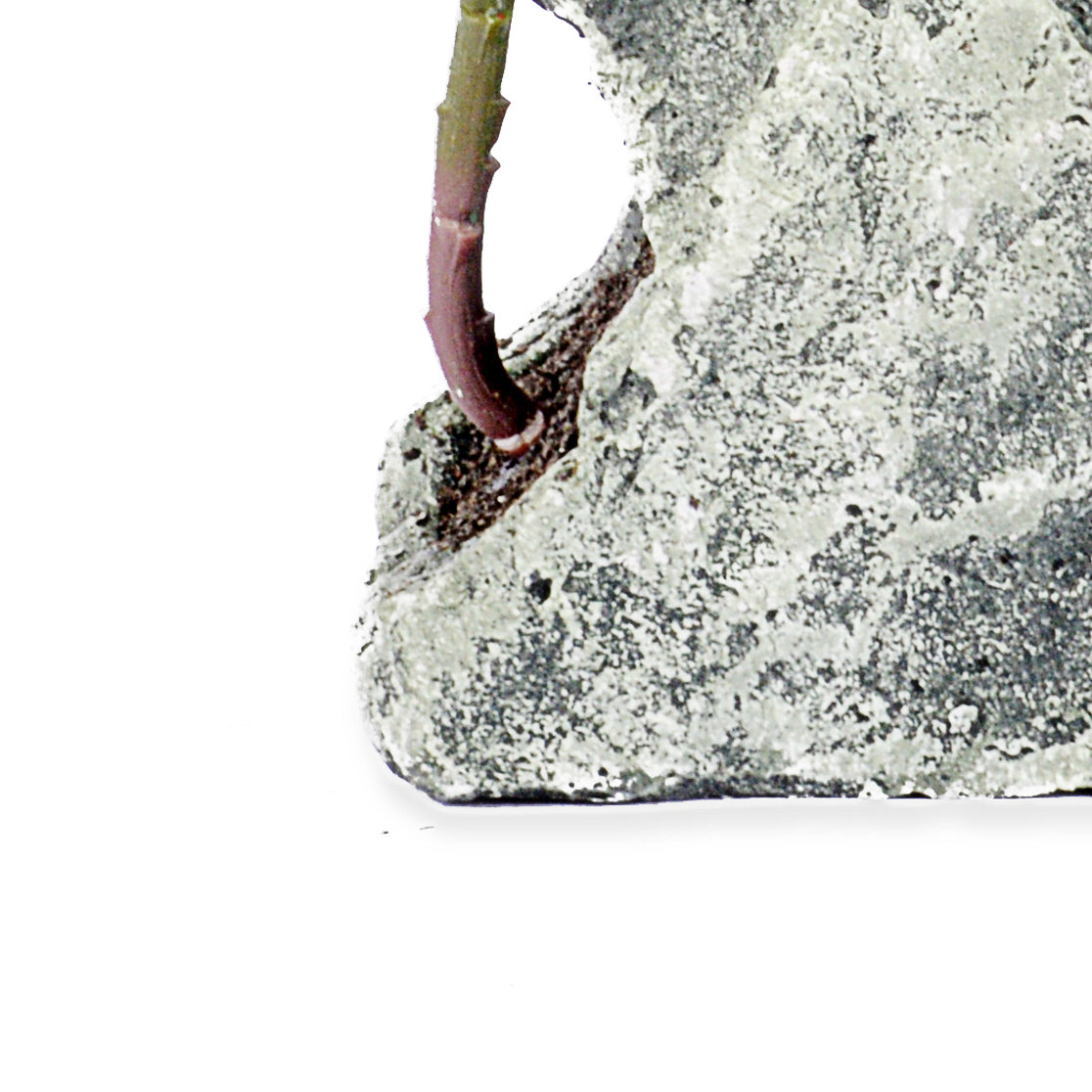 Decorative Pot Two planter with Ceramic Finish