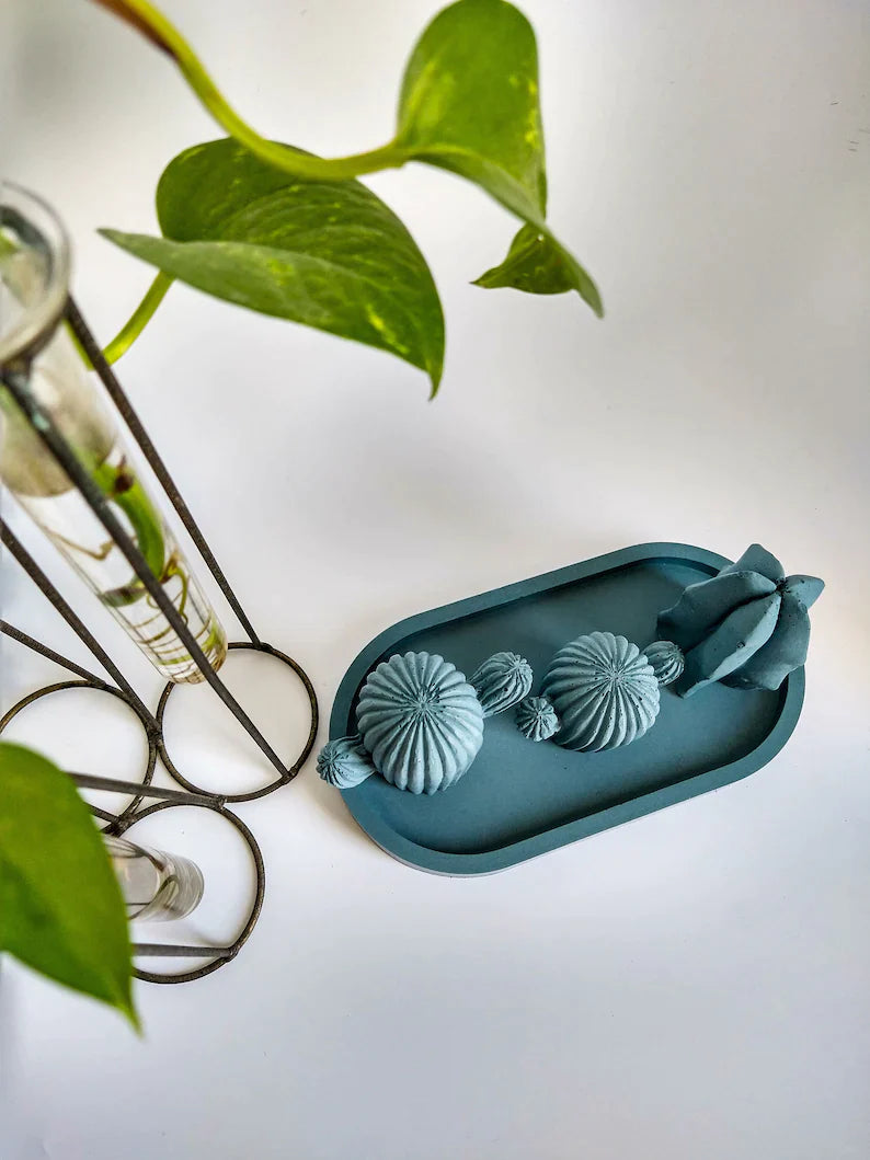 Colorful Concrete Essential Organize Tray & Soap Dish