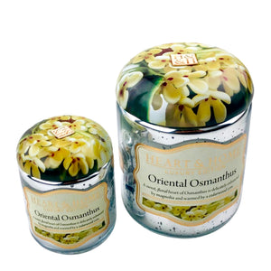 H&H Oriental Osmanthus Jar Candle