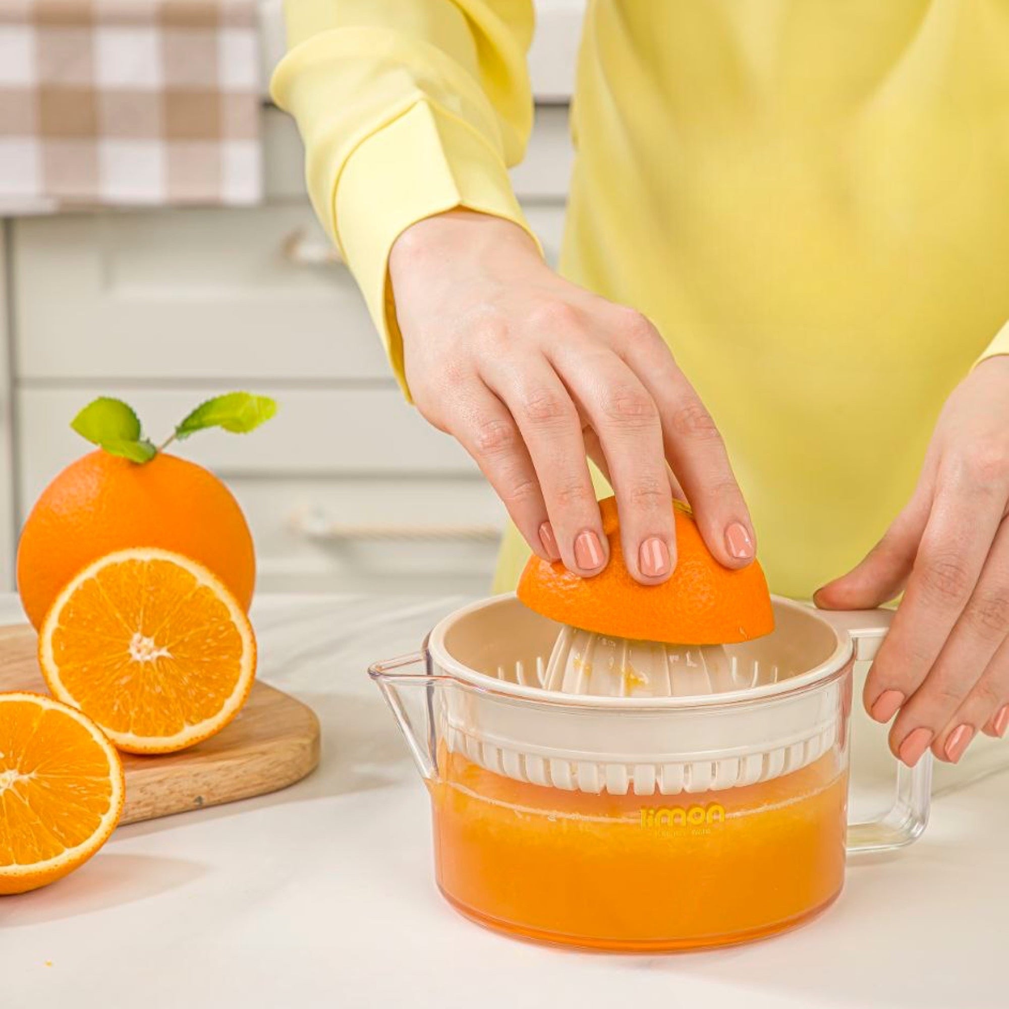 Handy Juicer