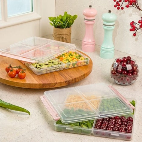 4 Partitions Freezer Box